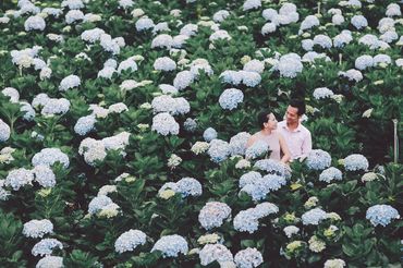 Prewedding album - Kietdc - Hình 5