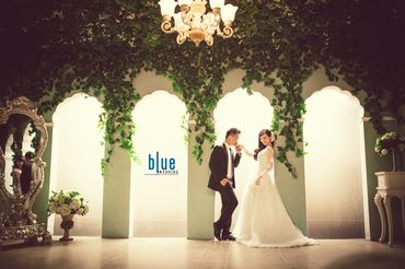 Ảnh Cưới Phim Trường | BLUE WEDDING PHOTO - Blue Wedding Photo - Hình 10