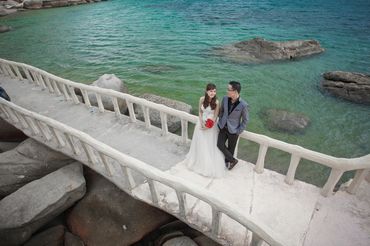 Sói &amp; Gấu  - Agnes Bridal Boutique - Hình 22