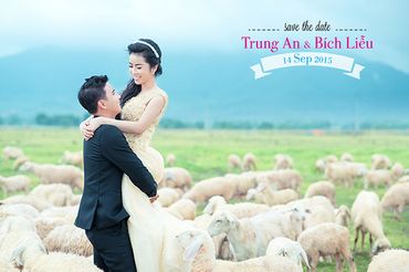 Album Hồ Cốc - Beelove Studio - Hình 1