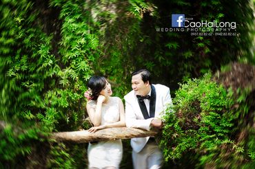 Anh &amp; em - Cao Hai Long - Hình 2