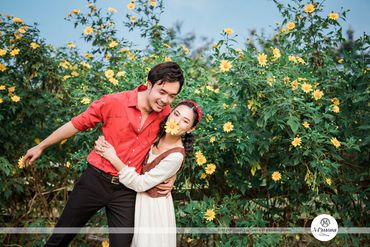 Album ảnh cưới đẹp Cafe trill và phim trường santorini pack - Mimosa Wedding - Hình 21