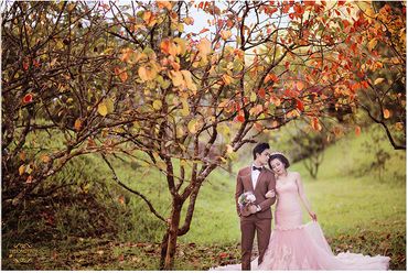 Ảnh cưới đẹp tại Đà Lạt - Trương Tịnh Wedding - Hình 29