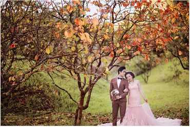 Ảnh cưới đẹp tại Đà Lạt - Trương Tịnh Wedding - Hình 8