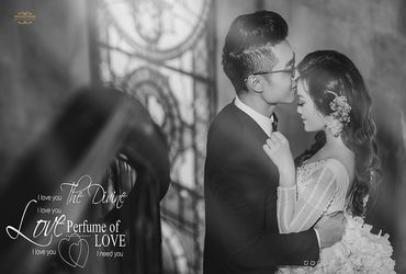 Lý Sơn - Đà Nẵng - Trương Tịnh Wedding - Hình 4