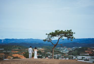 Da Lat Package (Đà Lạt / Nha Trang / Tỉnh thành khác) - Tony Wedding - Hình 40