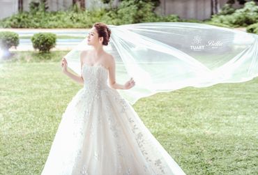 BST Korean Princess Wedding Dress - Bella Bridal Viet Nam - Hình 14