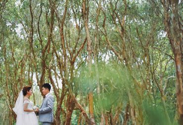 Sea Package (Hồ Cốc - Vũng Tàu / Phan Thiết - Cocobeach Camp / Vĩnh Hy) - Tony Wedding - Hình 3