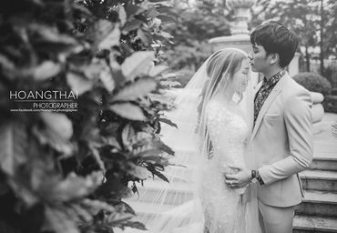 Cảnh tưởng gạnh tỵ của cặp đôi chụp ở phim trường Alibaba - Luxury Wedding Quận Phú Nhuận - Hình 32