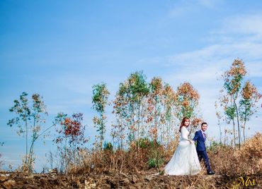 Ảnh cưới của cặp đôi Tây Nguyên đốn tim cư dân mạng - Mai Wedding - Hình 9