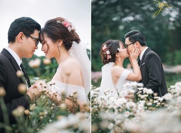 CHỤP ẢNH CƯỚI TẠI VƯỜN CÚC HỌA MI HÀ NỘI: NAM - LOAN - Yêu Media - Hình 10
