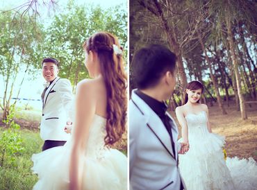 Album cưới Hồ Cốc - Ami Wedding - Hình 12