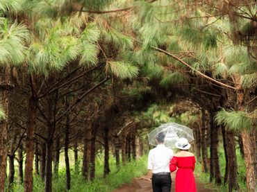 Pre Wedding Album Tuấn-Giang - Minh Anh Bridal - Đà Lạt - Hình 3