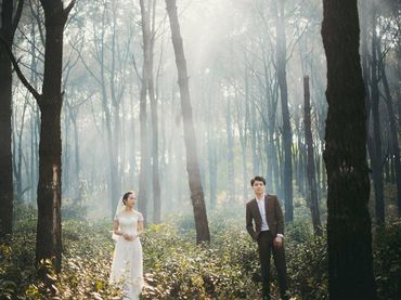 ĐẸP SANG TRỌNG VỚI CÁC GÓI TRANG TRÍ GIA TIÊN TẠI DŨNG PHẠM WEDDING - Dũng Phạm Wedding - Hình 13