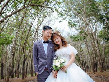 Album Phim trường En-Dee Garden hoặc Cabin69 - Tuxedo Studio - Hình 24