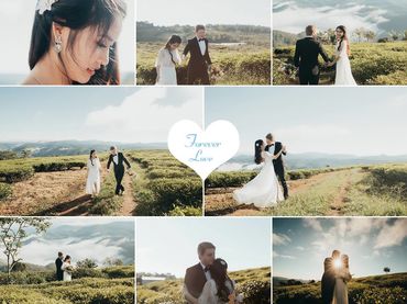 Album Đà Lạt - STUDIO T&Q Wedding Đà Lạt - Hình 7