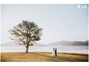 Bình Minh Đà Lạt ... - STUDIO T&Q Wedding Đà Lạt - Hình 2