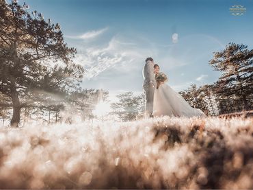 Chụp Album Cưới Đà Lạt chỉ với 12.500.000đ - Trương Tịnh Wedding - Hình 17