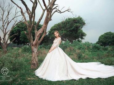 Cho thuê váy cưới dòng hàng xa xỉ couture WA71003S06 - Caroll Trần Design - Hình 1