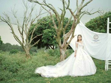 Cho thuê váy cưới dòng hàng xa xỉ couture WA71003S06 - Caroll Trần Design - Hình 5