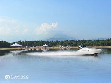 Gói nghỉ dưỡng trong ngày hoàn toàn mới - Flamingo Đại Lải Resort - Hình 2