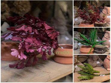 Hoa vải cao cấp - Midori Shop - Phụ kiện trang trí ngành cưới - Hình 31