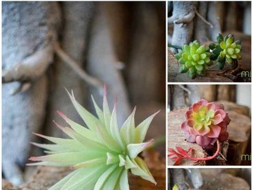 Hoa vải cao cấp - Midori Shop - Phụ kiện trang trí ngành cưới - Hình 26