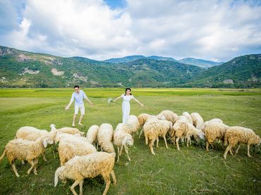 Gói chụp Hang Rái, Resort Sao Biển, Trại cừu Phan Rang Ninh Thuận - Vincente Studio - Hình 7