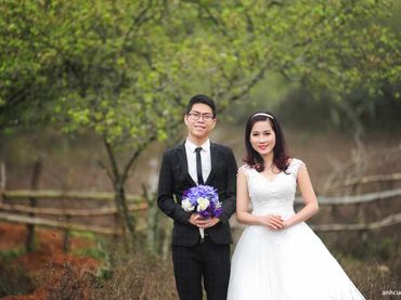 Trọn gói Mộc Châu 16.500.000đ - Ảnh viện Vivian - Hình 15