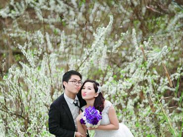 Trọn gói Mộc Châu 16.500.000đ - Ảnh viện Vivian - Hình 8