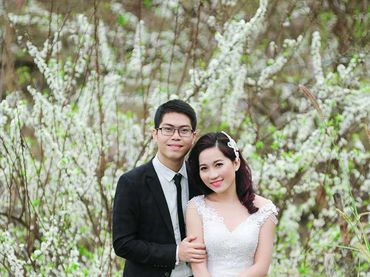 Trọn gói Mộc Châu 16.500.000đ - Ảnh viện Vivian - Hình 5
