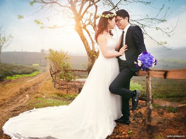 Trọn gói Mộc Châu 16.500.000đ - Ảnh viện Vivian - Hình 1