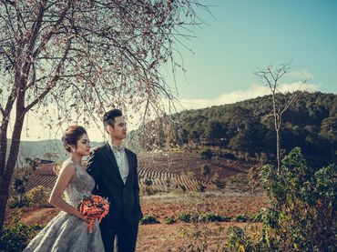 Prewedding Nha Trang - Đà Lạt 2 ngày - SOHO Studio - Hình 10