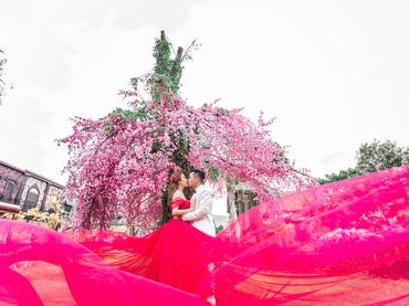 Trọn gói Vip 1- Chụp hình cưới phim trường - Áo Cưới Thiên Đường - Hình 2