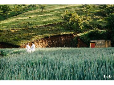 Bình Minh Đà Lạt ... - STUDIO T&Q Wedding Đà Lạt - Hình 10