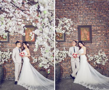 Chụp ảnh cưới Đồ Sơn + phim trường - Hùng &lt;3 Phương - Ảnh viện Hải Phòng Cưới - Hình 10