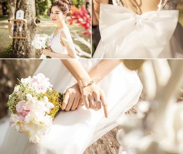 ALBUM TỔNG HỢP HÌNH + GÓC CHỤP ĐẸP - Hoa Mai Luxury Wedding Store - Hình 3
