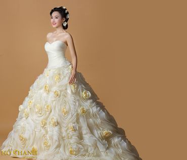 Áo Cưới Hồ Khanh Wedding - Hồ Khanh wedding - Hình 39