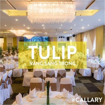 Cưới Xuân Vàng - Tiệc Thật Sang - Callary Wedding &amp; Events - Hình 2