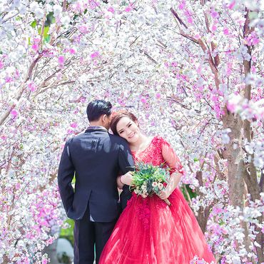 Album Phim Trường Chicago - Anna Wedding - Hình 9