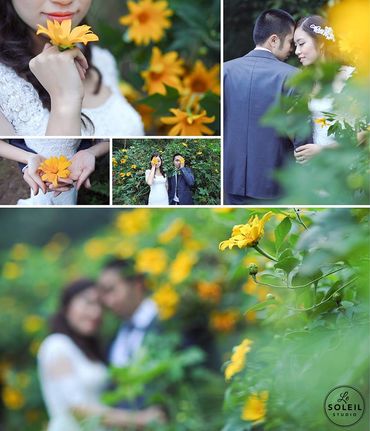 Ba Vì mùa sương - Le Soleil wedding studio - Hình 1