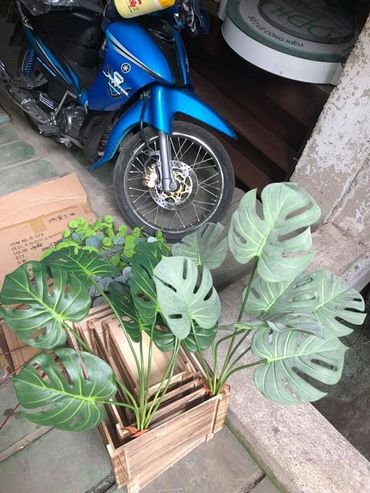 Hoa vải cao cấp - Midori Shop - Phụ kiện trang trí ngành cưới - Hình 120