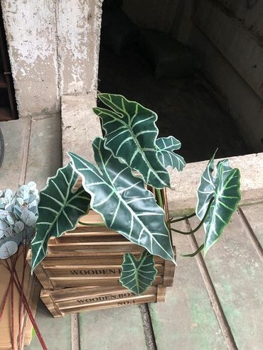 Hoa vải cao cấp - Midori Shop - Phụ kiện trang trí ngành cưới - Hình 79