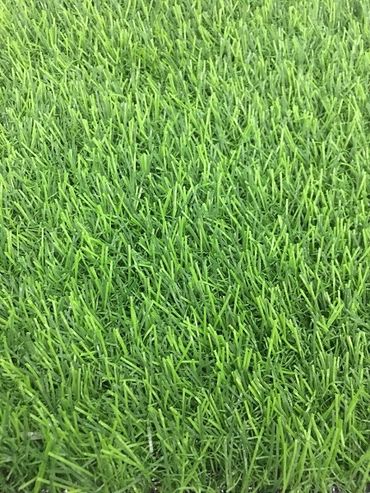 Phụ kiện trang trí ngành cưới giá sỉ - Midori Shop - Phụ kiện trang trí ngành cưới - Hình 63