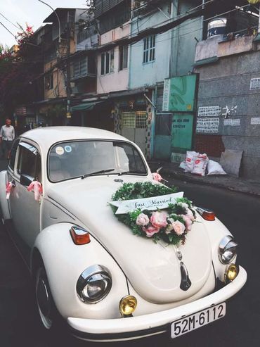 Cho thuê xe hoa - THẢO NGUYÊN WEDDING - Hình 1