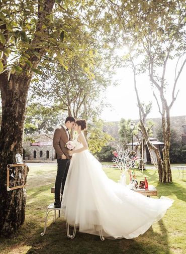 ALBUM TỔNG HỢP HÌNH + GÓC CHỤP ĐẸP - Hoa Mai Luxury Wedding Store - Hình 6