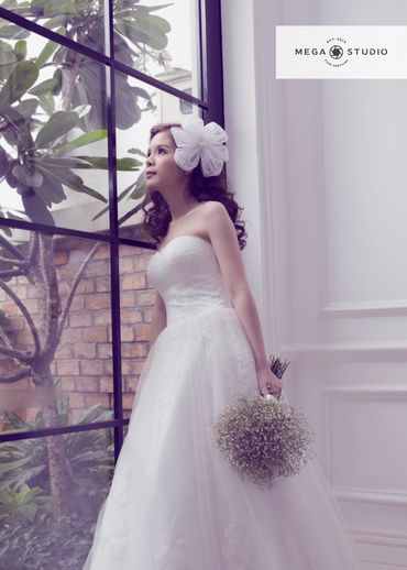 Hạnh Phúc - Mega Studio - Hình 4