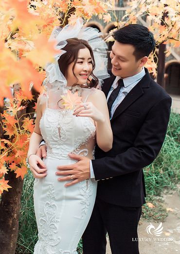 Cảnh tưởng gạnh tỵ của cặp đôi chụp ở phim trường Alibaba - Luxury Wedding Quận Phú Nhuận - Hình 26