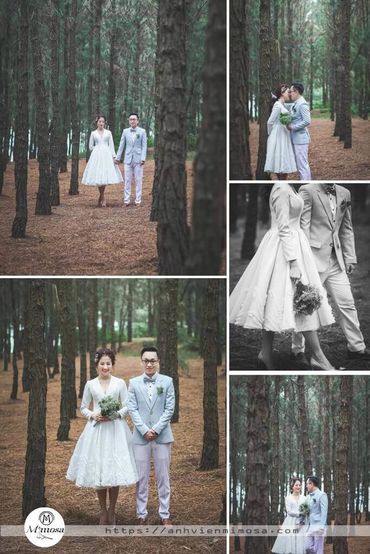 Album ảnh cưới đẹp tại Đại Lại resort flamingo Mimosa Wedding - Mimosa Wedding - Hình 11
