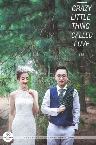 Album ảnh cưới đẹp tại Đại Lại resort flamingo Mimosa Wedding - Mimosa Wedding - Hình 18